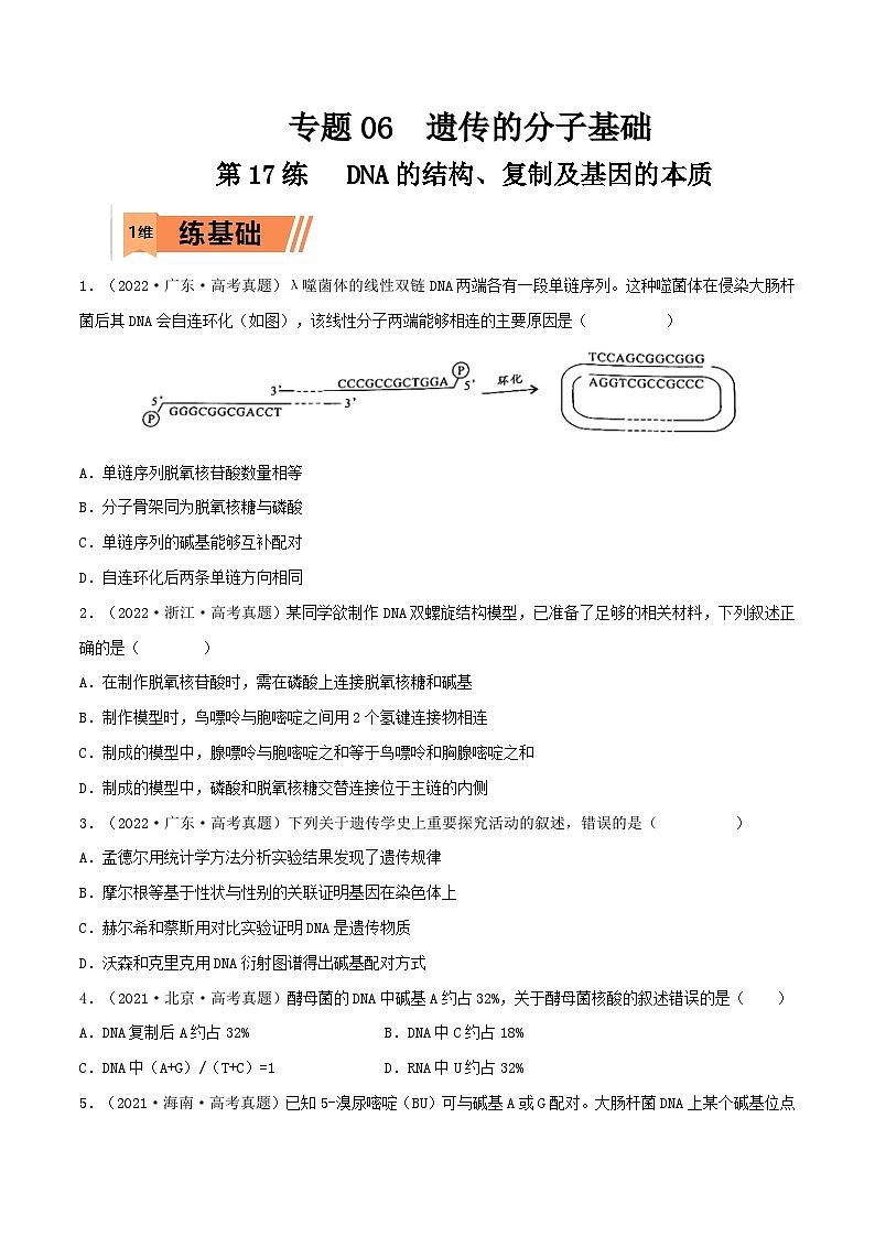 新高考生物一轮复习小题多练第17练 DNA的结构、复制及基因的本质(原卷版)第1页