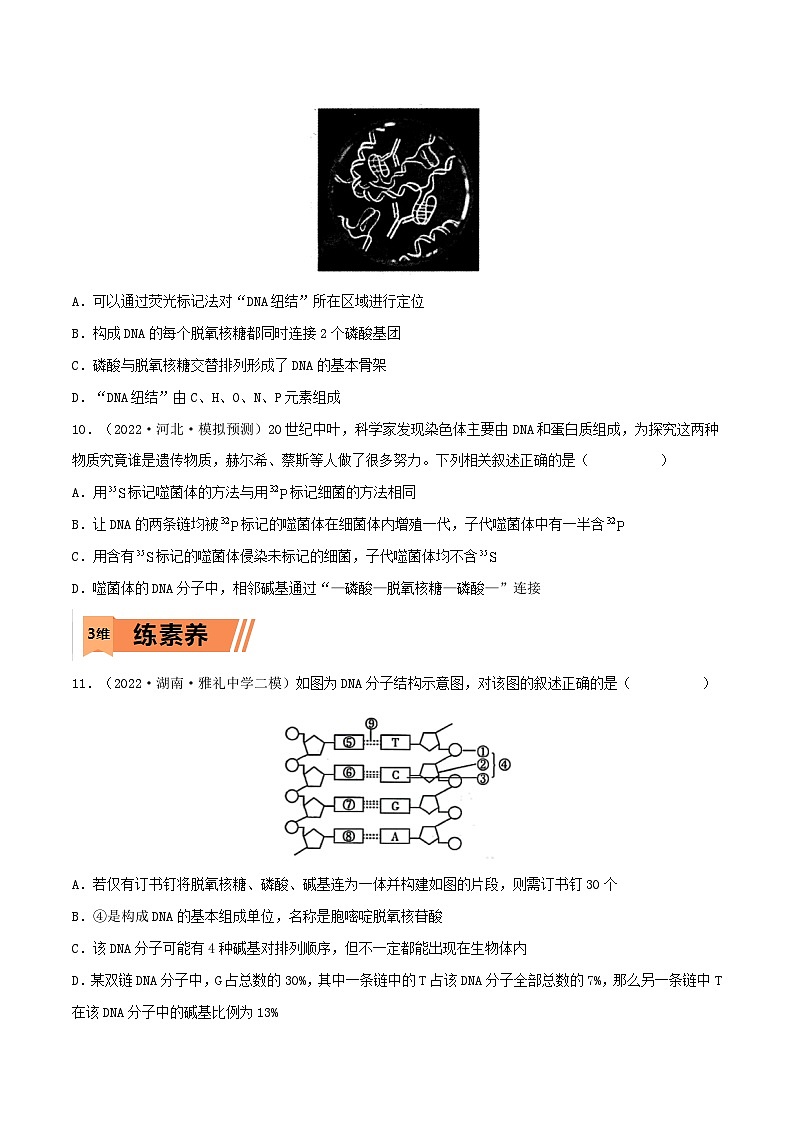 新高考生物一轮复习小题多练第17练 DNA的结构、复制及基因的本质(原卷版)第3页