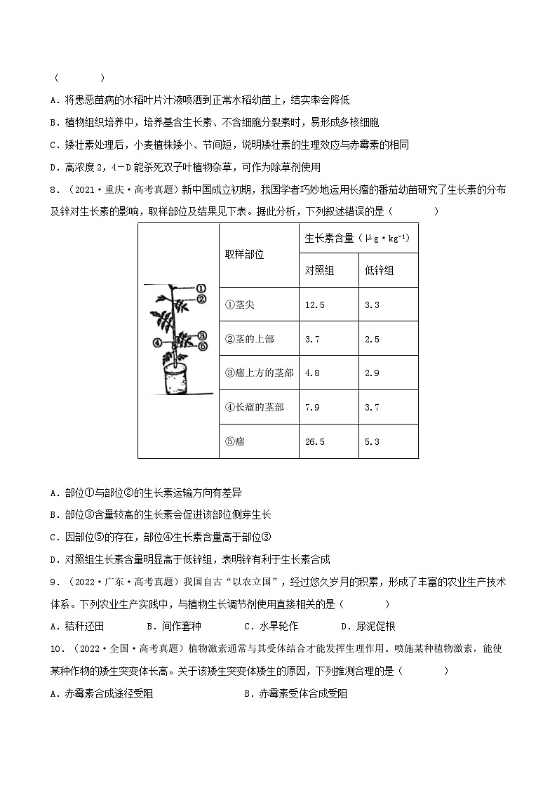 新高考生物一轮复习小题多练第26练 植物激素调节(原卷版)第3页