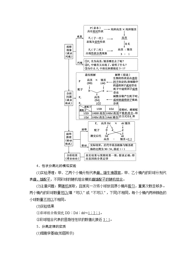 新高考生物一轮复习学案:第14讲 基因的分离定律02