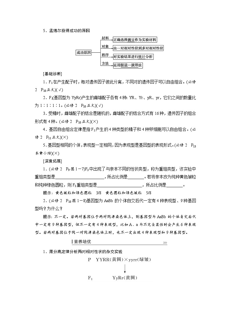 新高考生物一轮复习学案:第15讲 基因的自由组合定律第3页