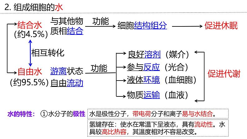 新高考生物二轮复习专题突破课件 01+细胞的物质基础(含答案)06