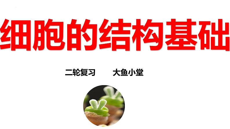 新高考生物二轮复习专题突破课件 02+细胞的结构基础(含答案)01
