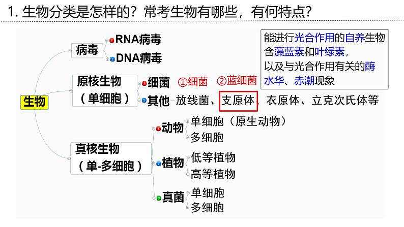 新高考生物二轮复习专题突破课件 02+细胞的结构基础(含答案)05