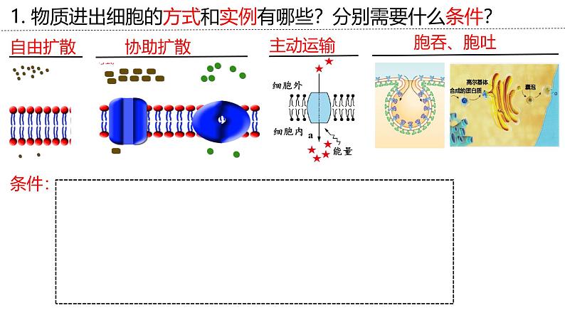 新高考生物二轮复习专题突破课件 03 细胞代谢和功能(含答案)07