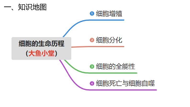 新高考生物二轮复习专题突破课件 04 细胞的生命历程(含答案)第3页