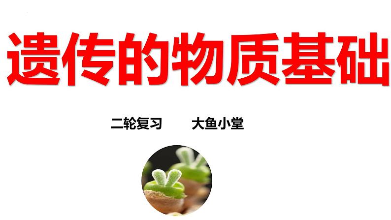 新高考生物二轮复习专题突破课件 07+遗传的物质基础(含答案)第1页