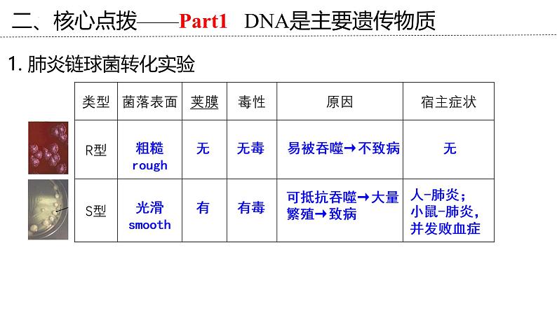 新高考生物二轮复习专题突破课件 07+遗传的物质基础(含答案)第7页