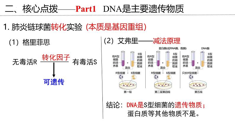 新高考生物二轮复习专题突破课件 07+遗传的物质基础(含答案)第8页