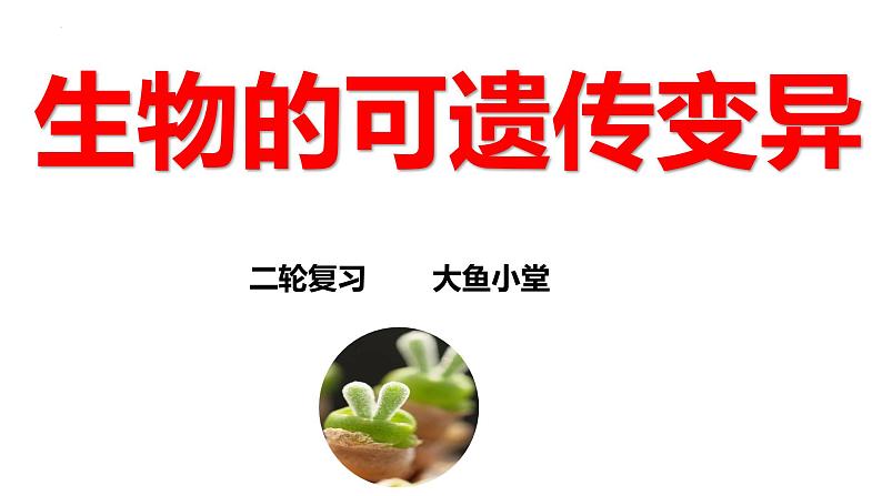新高考生物二轮复习专题突破课件 08 生物的可遗传变异(含答案)第1页