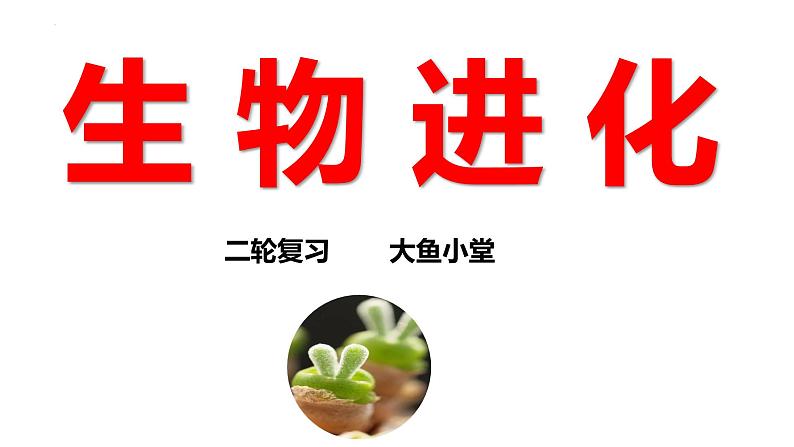 新高考生物二轮复习专题突破课件 09 生物进化(含答案)01