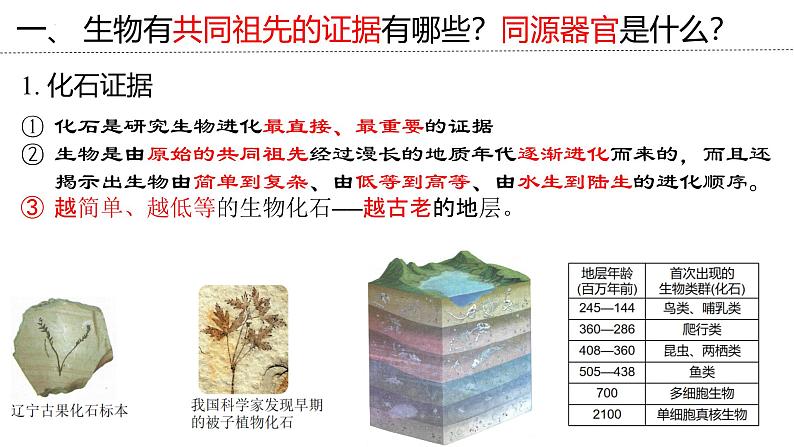 新高考生物二轮复习专题突破课件 09 生物进化(含答案)06