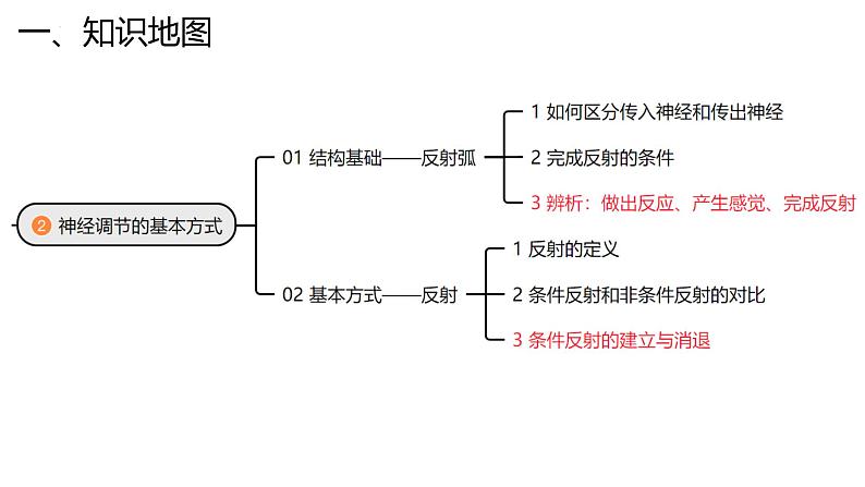 新高考生物二轮复习专题突破课件 11 神经调节(含答案)第5页