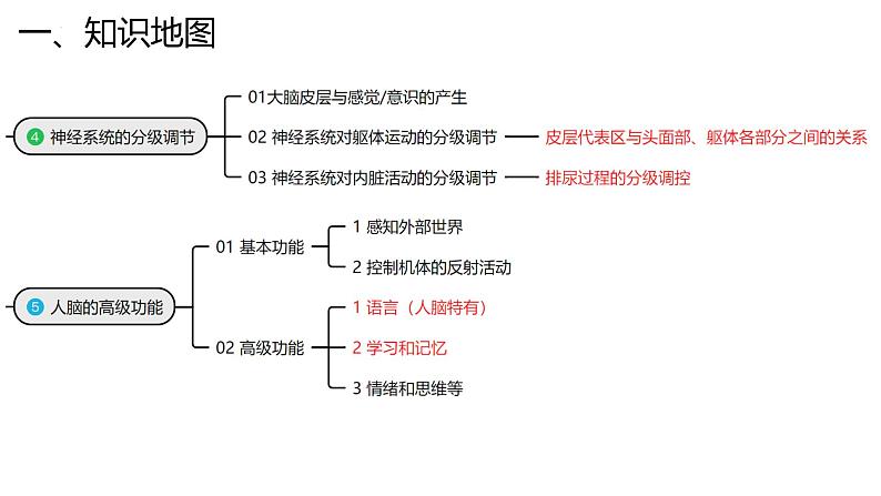新高考生物二轮复习专题突破课件 11 神经调节(含答案)第7页