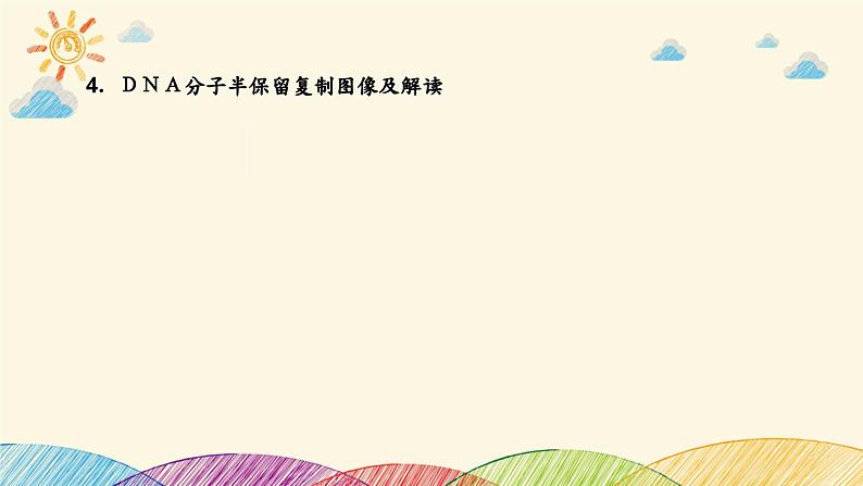 新高考生物二轮重点讲练课件:科学思维之微专题2 结合同位素标记研究细胞分裂中的DNA复制(含解析)05