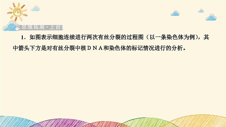 新高考生物二轮重点讲练课件:科学思维之微专题2 结合同位素标记研究细胞分裂中的DNA复制(含解析)06