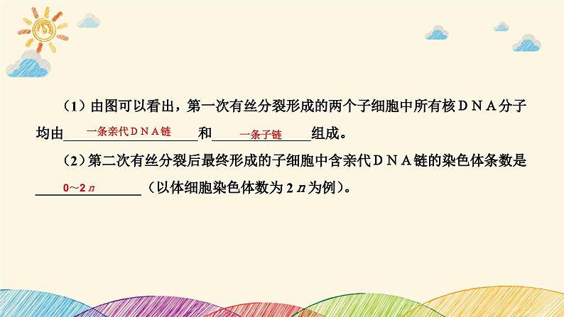 新高考生物二轮重点讲练课件:科学思维之微专题2 结合同位素标记研究细胞分裂中的DNA复制(含解析)07