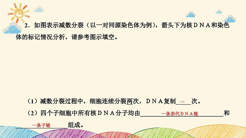 新高考生物二轮重点讲练课件:科学思维之微专题2 结合同位素标记研究细胞分裂中的DNA复制(含解析)08