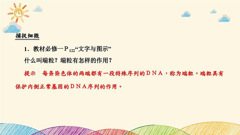 新高考生物二轮重点讲练课件:第5讲 细胞的生命历程(含解析)第8页