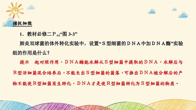 新高考生物二轮重点讲练课件:第6讲 遗传的分子基础(含解析)08