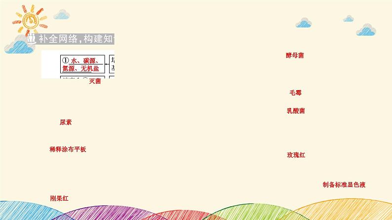 新高考生物二轮重点讲练课件:第15讲 微生物的利用及传统发酵技术(含解析)第3页