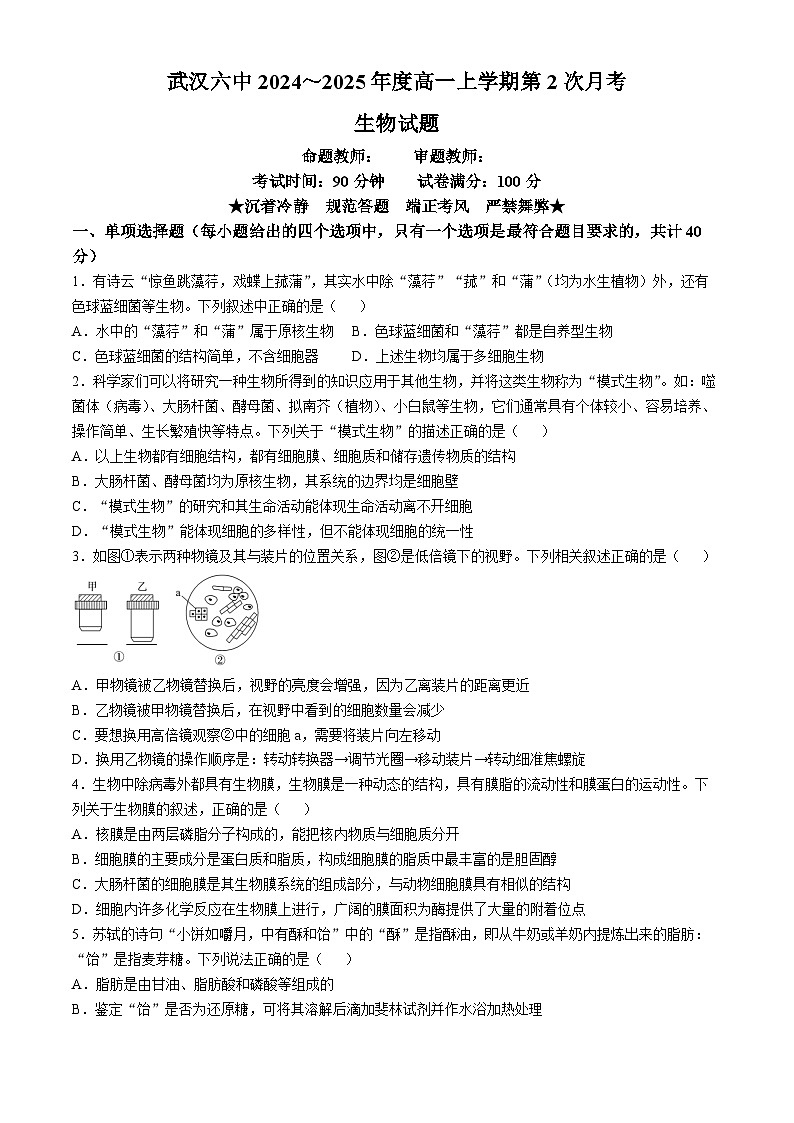 湖北省武汉市第六中学2024-2025学年高一上学期第2次月考生物试卷01