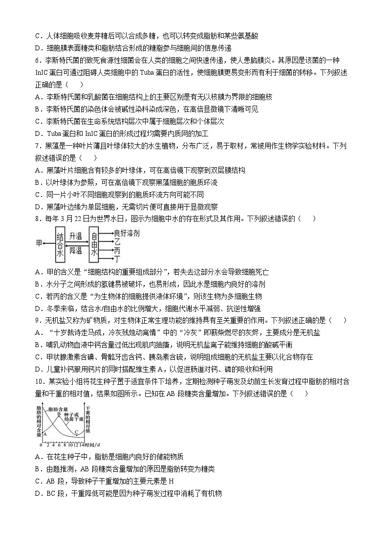 湖北省武汉市第六中学2024-2025学年高一上学期第2次月考生物试卷02