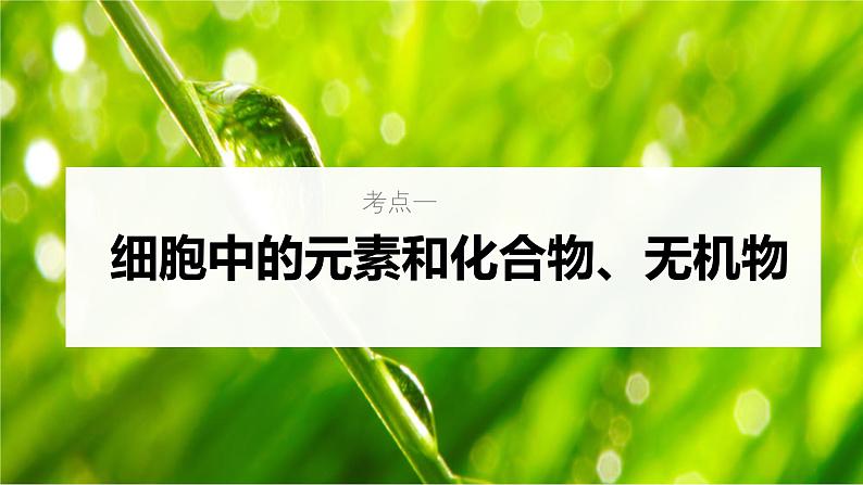 新高考生物一轮复习考点课件第02讲 细胞中的元素与化合物(含解析)第5页