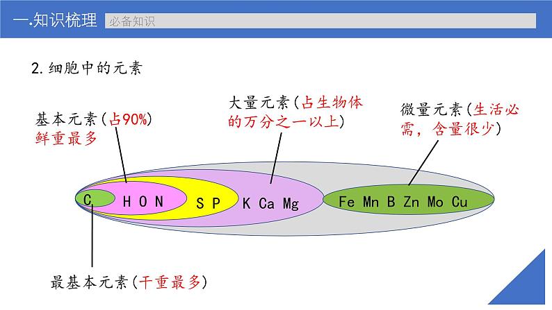 新高考生物一轮复习考点课件第02讲 细胞中的元素与化合物(含解析)第8页