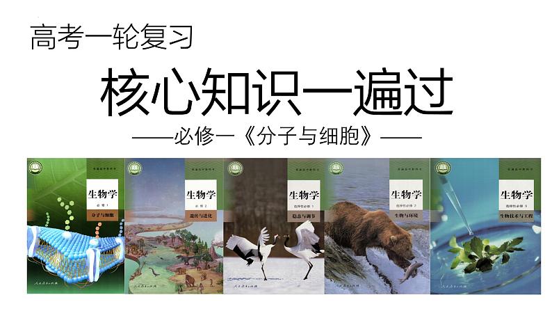 新高考生物一轮复习考点课件第04讲 核酸(含解析)第1页