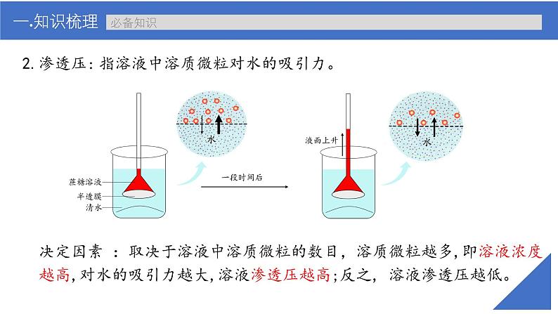 新高考生物一轮复习考点课件第08讲 细胞的物质输入与输出(含解析)第8页