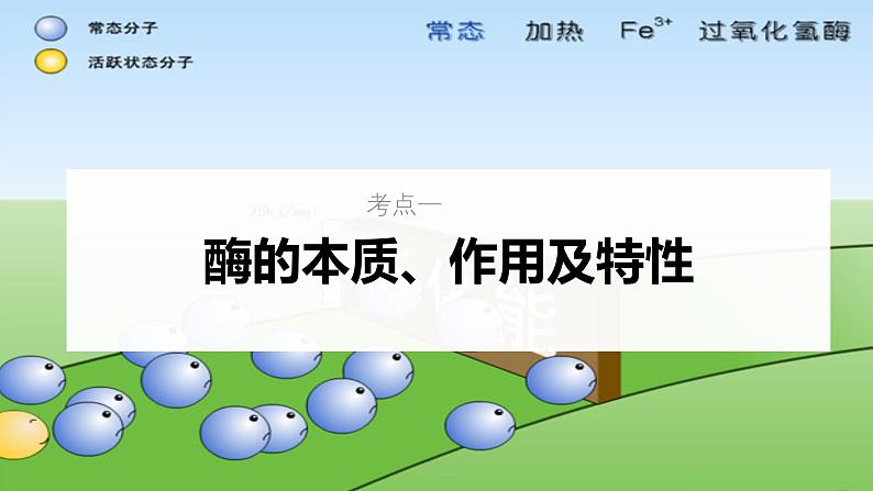 新高考生物一轮复习考点课件第09讲 酶(含解析)第5页