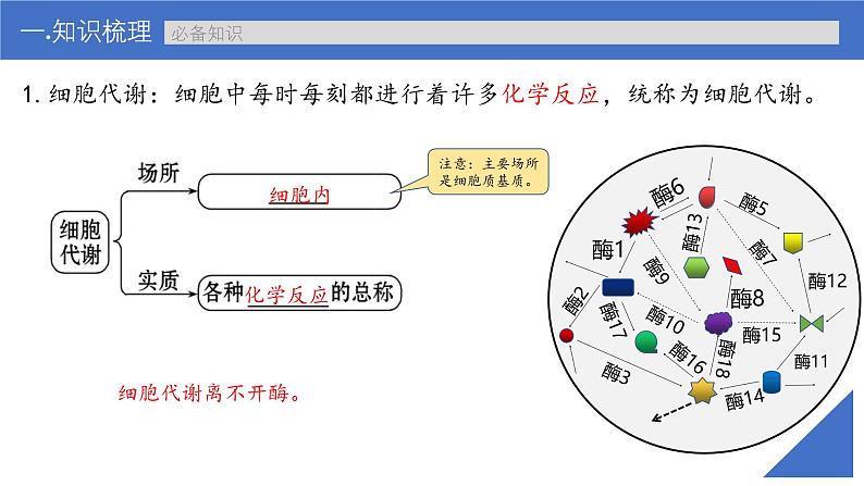 新高考生物一轮复习考点课件第09讲 酶(含解析)第6页