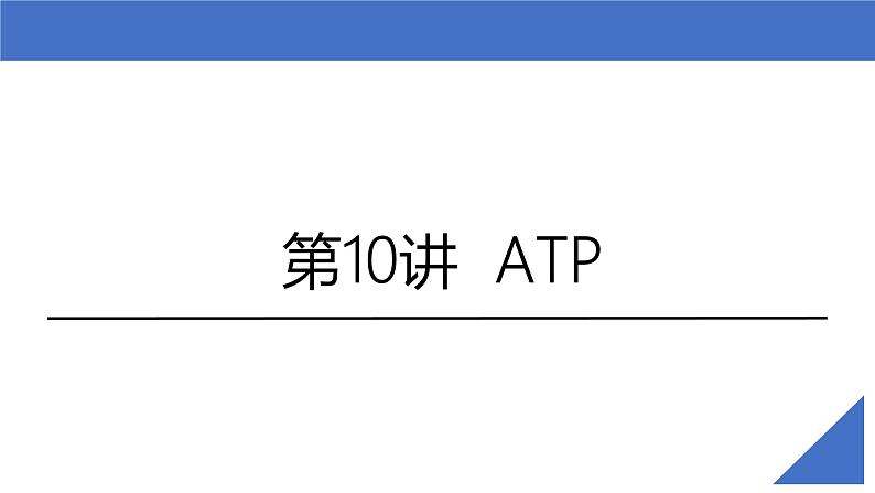 新高考生物一轮复习考点课件第10讲 ATP(含解析)02