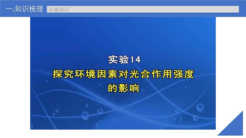 新高考生物一轮复习考点课件第15讲 光合作用的影响因素及其应用(含解析)第8页