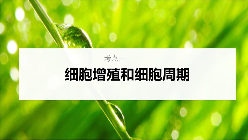 新高考生物一轮复习考点课件第16讲 细胞增殖(含解析)第5页