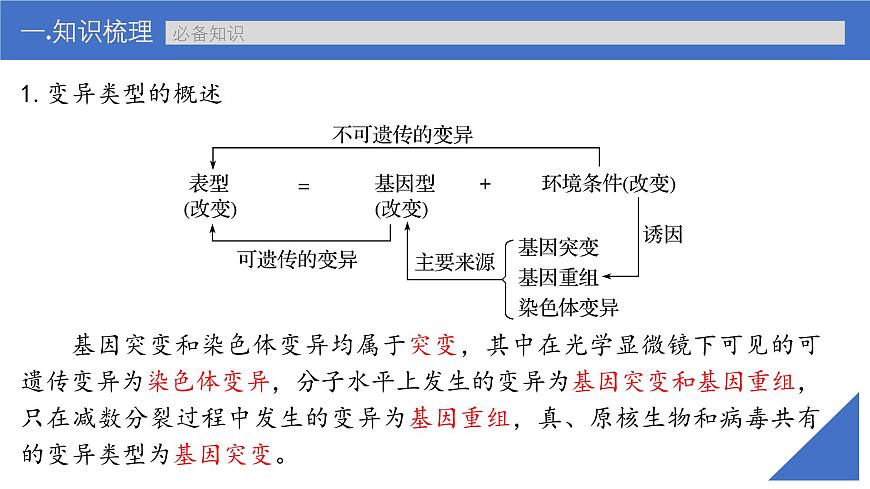 新高考生物一輪復(fù)習(xí)考點(diǎn)課件第30講 基因突變和基因重組(含解析)第7頁(yè)