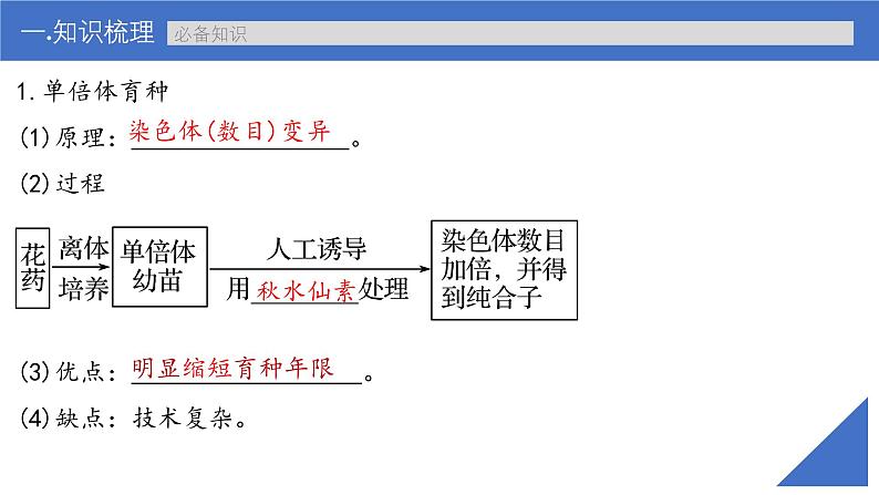 新高考生物一轮复习考点课件第32讲 生物变异在育种上的应用(含解析)04