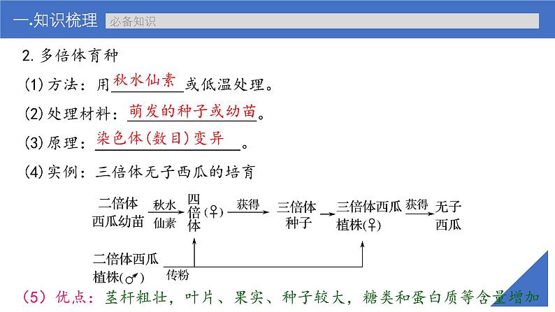 新高考生物一轮复习考点课件第32讲 生物变异在育种上的应用(含解析)06
