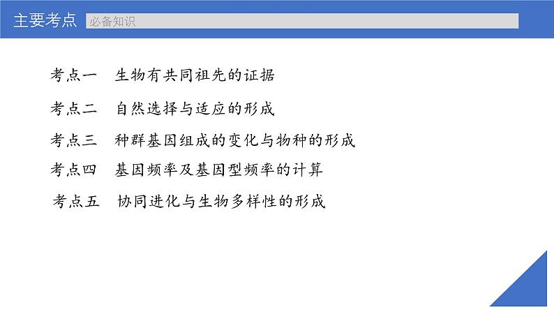 新高考生物一轮复习考点课件第33讲 生物的进化(含解析)第4页