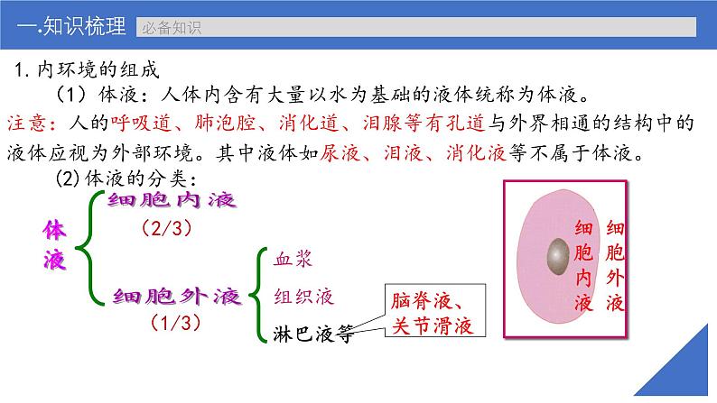 新高考生物一轮复习考点课件第34讲 内环境与稳态(含解析)07