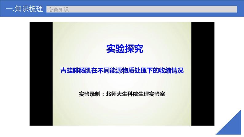 新高考生物一轮复习考点课件第36讲 神经冲动的产生、传导和分级调节(含解析)第7页