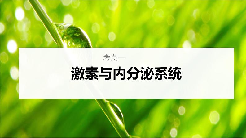 新高考生物一轮复习考点课件第37讲 激素与内分泌系统、激素调节的过程(含解析)05