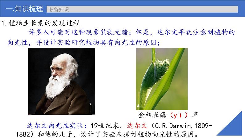 新高考生物一轮复习考点课件第41讲 植物生长素及其生理作用(含解析)第6页
