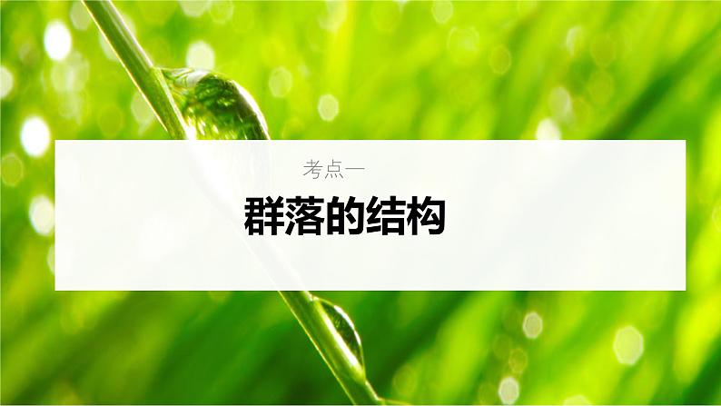 新高考生物一轮复习考点课件第45讲 群落的结构(含解析)05