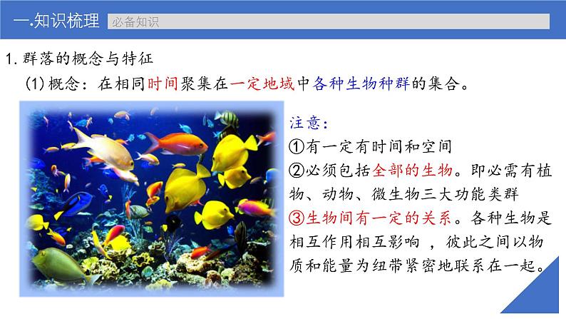 新高考生物一轮复习考点课件第45讲 群落的结构(含解析)06