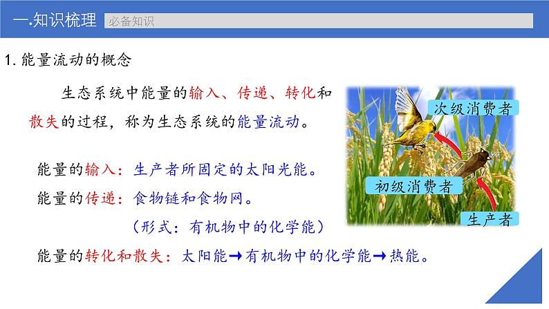 新高考生物一轮复习考点课件第48讲 生态系统的能量流动(含解析)第4页