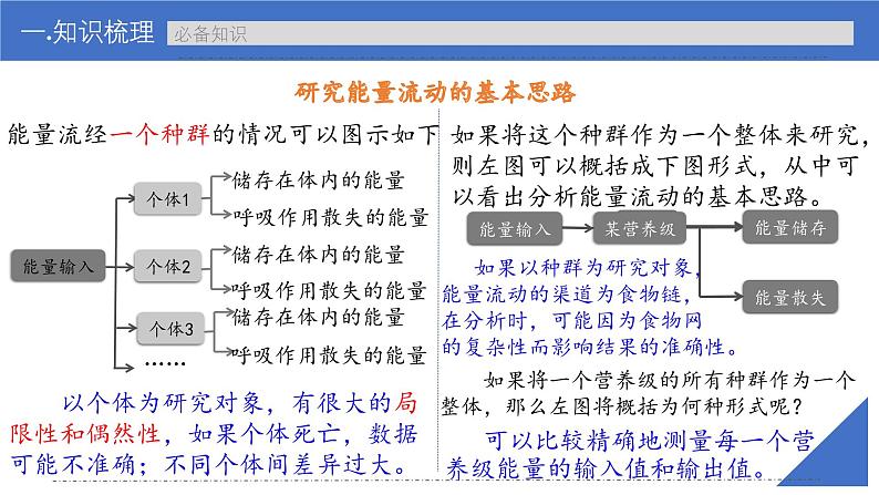 新高考生物一轮复习考点课件第48讲 生态系统的能量流动(含解析)第5页