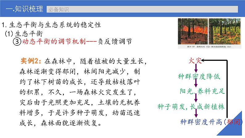 新高考生物一轮复习考点课件第50讲 生态系统的稳定性(含解析)08