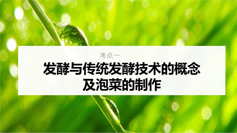 新高考生物一轮复习考点课件第52讲 传统发酵技术的应用、发酵工程及其应用(含解析)05